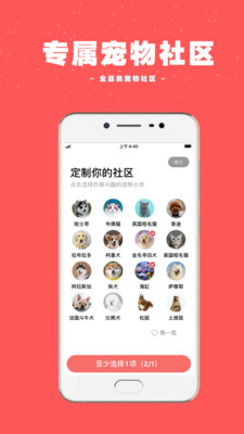 寵物王國(guó)截圖欣賞