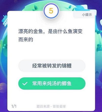 漂亮的金鱼,是由什么鱼演变而来的 蚂蚁庄园8月13日每日一题答案