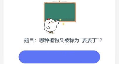 哪种植物又称为婆婆丁向日葵还是蒲公英 蚂蚁庄园8月14日每日一题答案