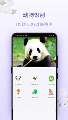 拍照識(shí)花神器截圖欣賞