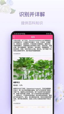 拍照識(shí)花神器