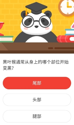 黑叶猴通常从身上的哪个部位开始变黑 森林驿站8月30日每日一题答案