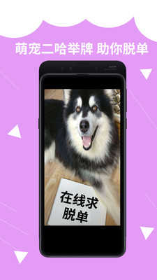 裝啥截圖欣賞