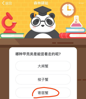 哪种甲壳类是能竖着走的呢 森林驿站9月2日每日一题答案