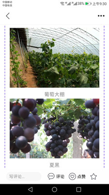冀云懷來