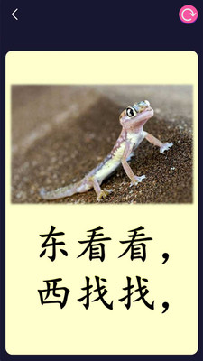 屁屁體