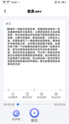 录音转文字精灵游戏截图