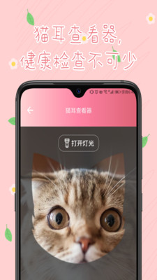 旻匠猫咪翻译器游戏截图