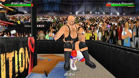 摔跤革命3D游戏截图