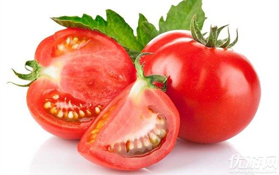 没成熟的青西红柿能吃吗 蚂蚁庄园9月19日每日一题答案