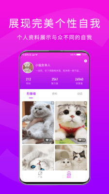 Slove游戏截图