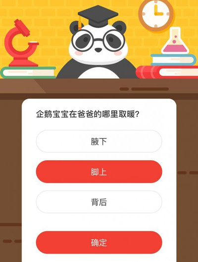 企鹅宝宝在爸爸的哪里取暖 森林驿站10月29日每日一题答案