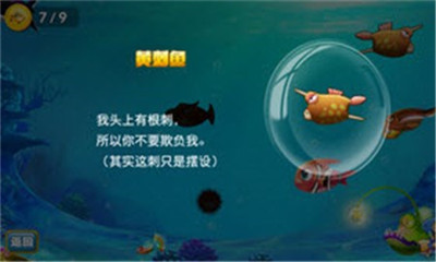 小丑魚愛進(jìn)化截圖欣賞
