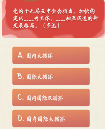 党的十九届五中全会指出,加快构建以为主体,相互促进的新发展格局 青年大