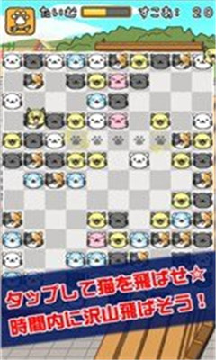 貓咪合戰(zhàn)截圖欣賞
