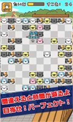 貓咪合戰(zhàn)截圖欣賞