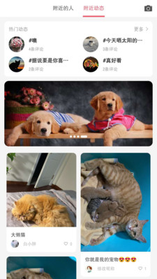 戎寵截圖欣賞