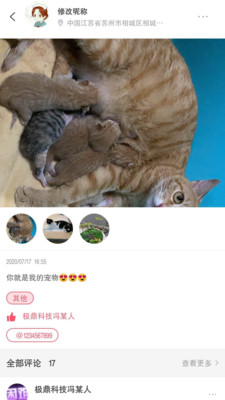 戎寵截圖欣賞