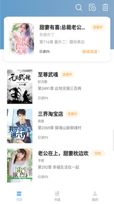 免費小說閱讀王截圖欣賞