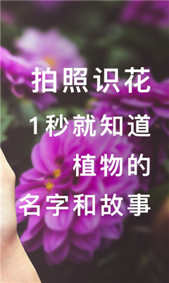 形色截圖欣賞