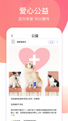 寵優(yōu)優(yōu)截圖欣賞