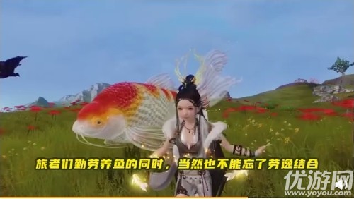 妄想山海锦鲤活动怎么玩 妄想山海锦鲤活动玩法攻略