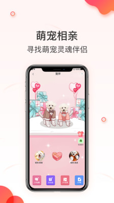 相寵截圖欣賞