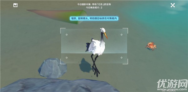 原神带有红色的生物是什么 原神福至五彩红色生物位置大全