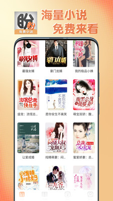 盼盼小說截圖欣賞
