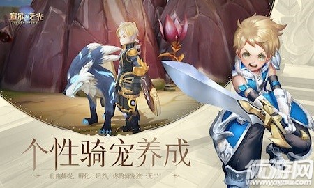 塞爾之光華為版