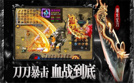 無雙合擊截圖欣賞