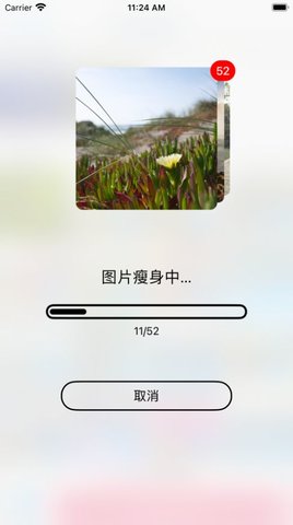相冊清理助手截圖欣賞