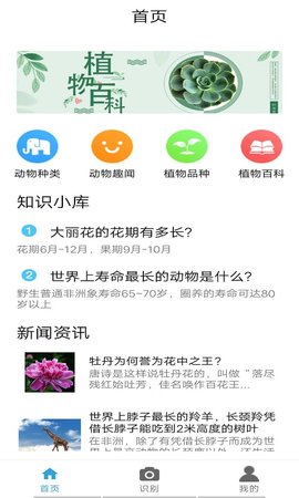植物品鑒截圖欣賞