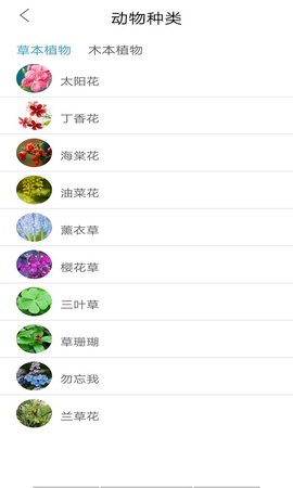 植物品鑒截圖欣賞
