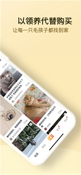 小萌貓截圖欣賞