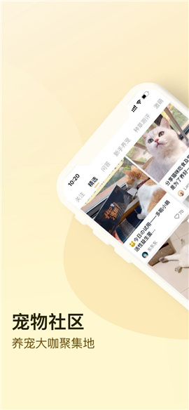 小萌貓截圖欣賞