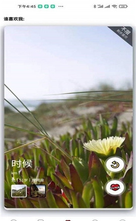 優(yōu)甜截圖欣賞