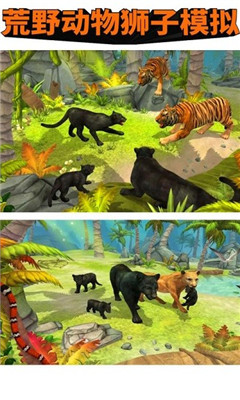 荒野動物獅子模擬截圖欣賞