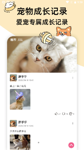卡坦截圖欣賞