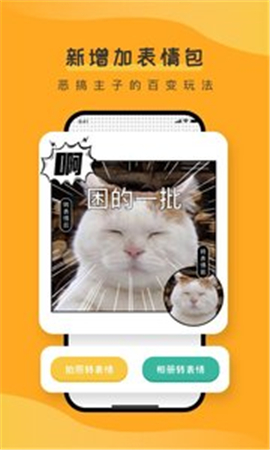 寵胖胖