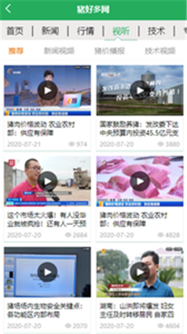 豬好多截圖欣賞
