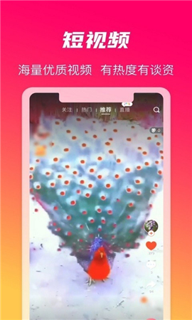火晶星球截圖欣賞