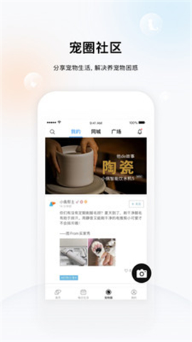小佩寵物截圖欣賞