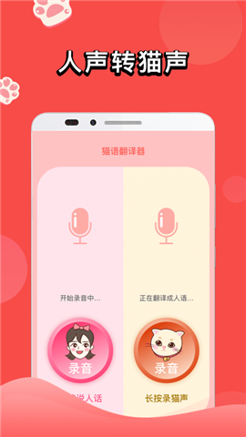 和貓說話