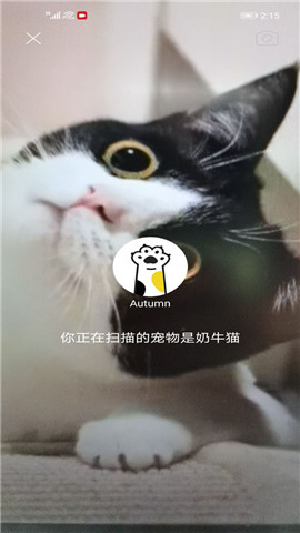 握爪截圖欣賞