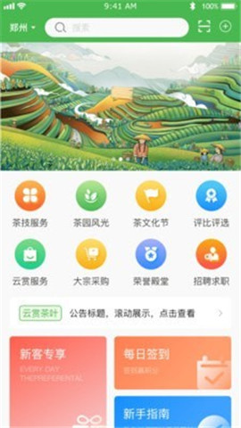云賞信陽毛尖
