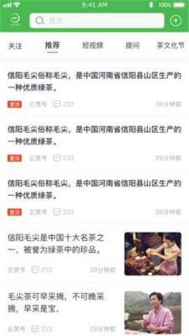 云賞信陽毛尖截圖欣賞