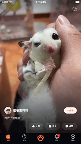 鏟屎啦