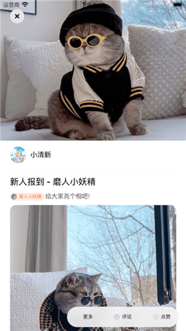 鏟屎啦截圖欣賞