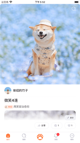 鏟屎啦截圖欣賞